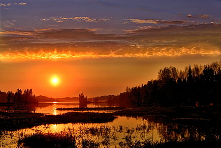 silhouette of trees surrounded by body of water overlooking sunset thumbnail