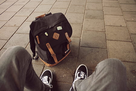 person wearing pair of black Vans Old Skool thumbnail