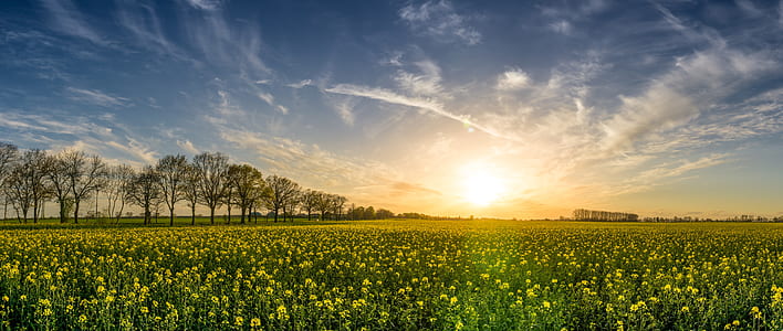 dawn, landscape, nature, sky thumbnail