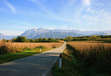road near brown field at daytime thumbnail