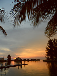 body of water and trees thumbnail