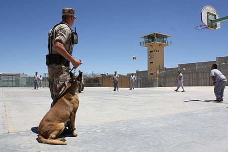 soldier with Belgian malinois watching prisoners inside prison under clear sky thumbnail