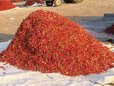 Chili Pepper, Chile Pepper thumbnail