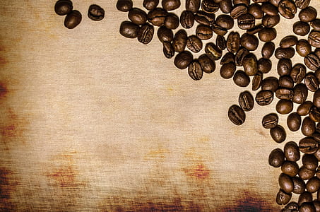brown coffee bean lot thumbnail