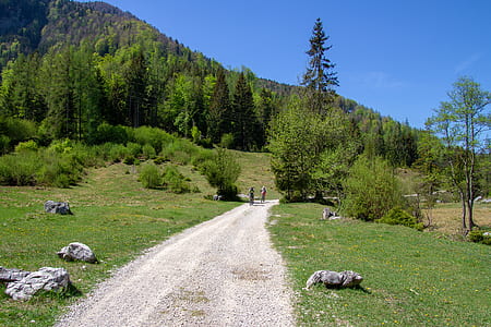 two people walking on walk path surrounded by trees during daytime thumbnail