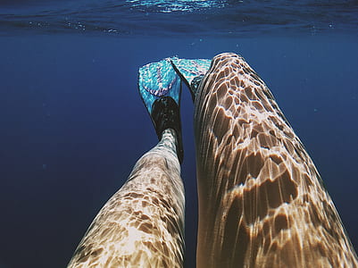 underwater photography of person's legs and feet wearing flippers thumbnail
