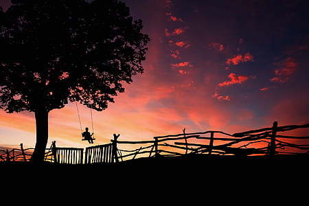 silhouette of person on swing during twilight thumbnail
