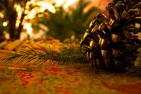 pinecone beside pine leaf on multicolored floral textile thumbnail
