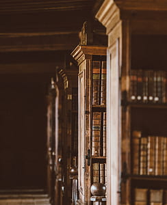 selective focus photography of bookcase thumbnail