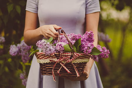 basket of purple petaled flowers thumbnail