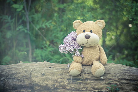 beige bear plush toy holding purple flowers thumbnail