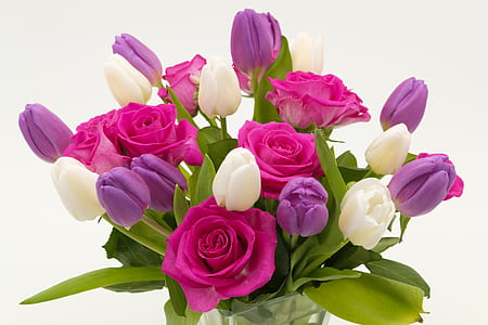 pink, white, and purple rose and tulip flower thumbnail