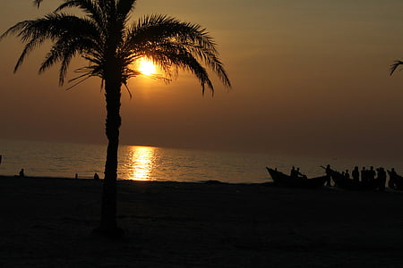 silhouette of palm tree during sunset thumbnail