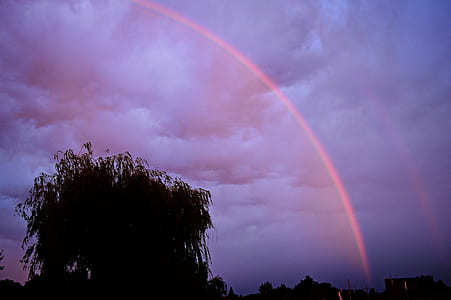 silhouette photo of tree under rainbow thumbnail