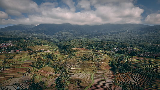 aerial view of farm field thumbnail
