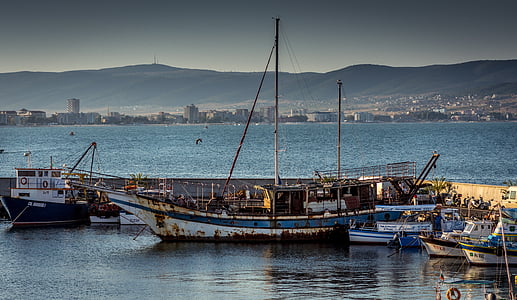 blue and white sailboat near dock thumbnail