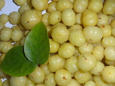 round yellow fruits beside two green leaves thumbnail