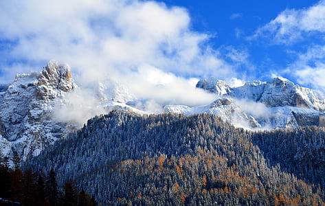 aerial photography of mountain surrounded by trees thumbnail