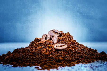 seeds on brown soil thumbnail