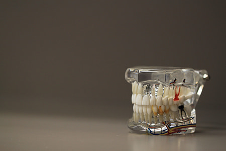 white artificial teetg thumbnail