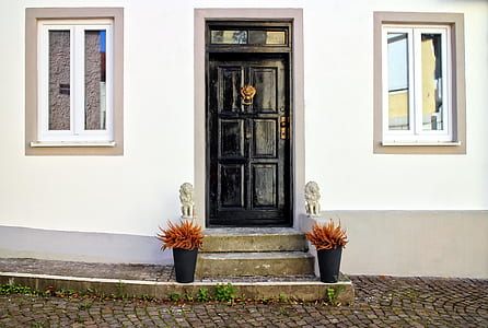 two potted orange plants placed near closed door thumbnail