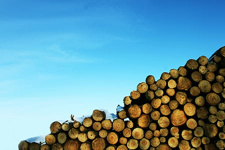 brown log lot under white cloudy sky at daytime digital wallpaper thumbnail