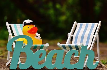 Beach signage thumbnail