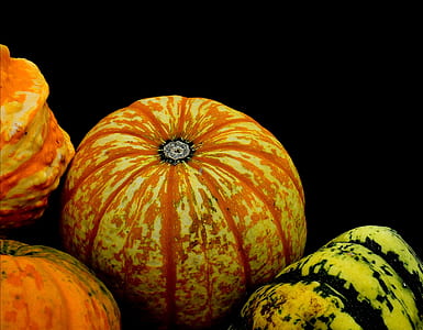 several pumpkins on black surface thumbnail