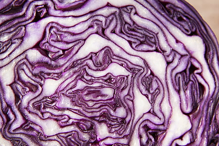 red cabbage, brassica oleracea, kohl, ruebkohl, winter vegetables, food thumbnail