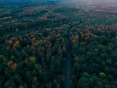 aerial shot of highway between forest at daytime thumbnail