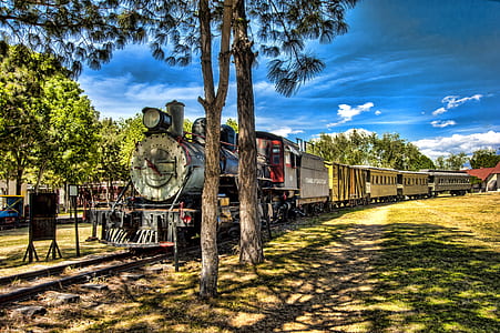 train beside tree during daytime thumbnail