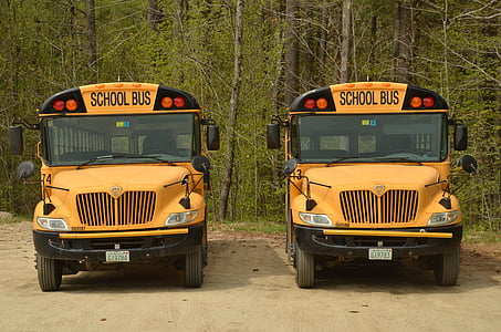 two yellow school buses during daytime thumbnail