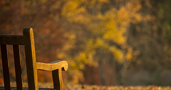 macro photography of brown wooden armchair thumbnail