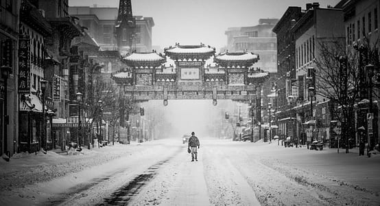 grayscale photo of person walking on center of road thumbnail
