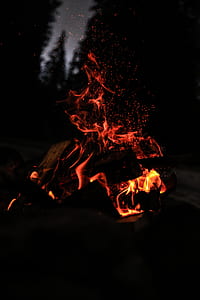 focus photography of firewood at nighttime thumbnail