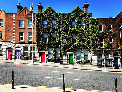 house covered in green leaves thumbnail
