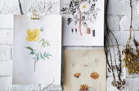 three assorted flowers thumbnail