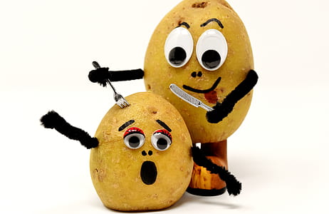 two potatoes with eyes on white surface thumbnail