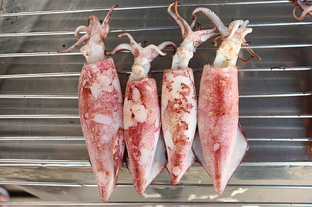 four squids on gray metal grill thumbnail