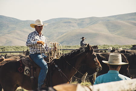 Photography of a Person Riding Horse thumbnail