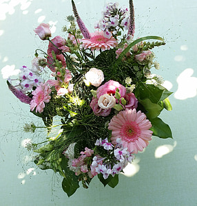 pink and white petaled flowers thumbnail