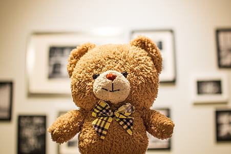 Brown Bear Plush Toy thumbnail