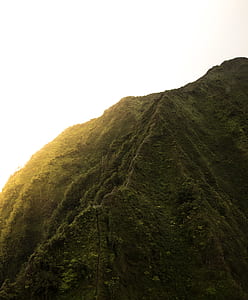 green leaf trees covered mountains under white sky thumbnail