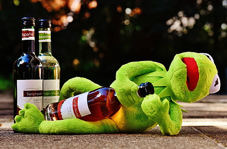 Kermit the Frog holding wine bottle thumbnail