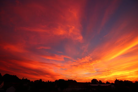silhouette of trees under red sky thumbnail