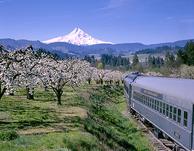 Landscape of Mount Hood from the railroad in Oregon thumbnail
