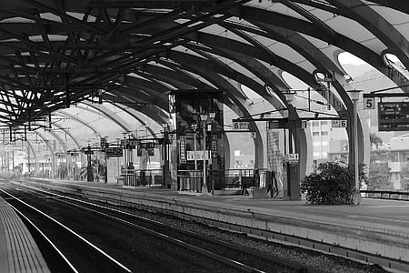 Train Terminal Gray Scale Photo thumbnail