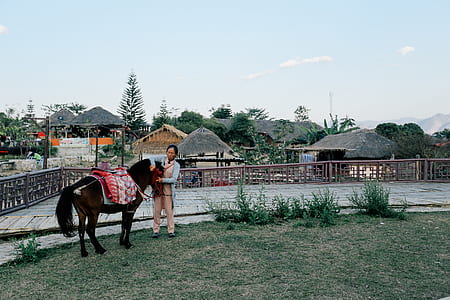 woman holding horse thumbnail
