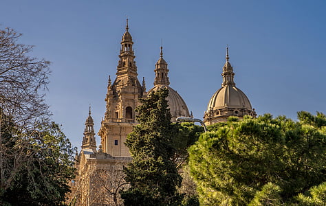 brown cathedral under blue sky thumbnail