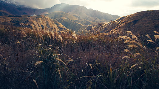 landscape photo of green fields on mountain thumbnail